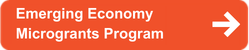 Emerging Economy Microgrants Program