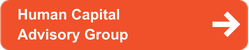 Human Capital Advisory Group graphic icon