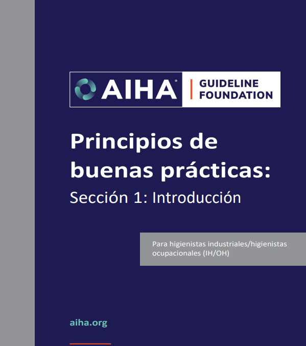 Principles of Good Practice in Spanish